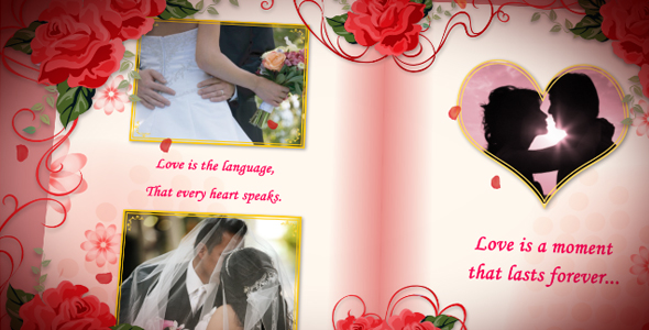 Wedding Album Red Roses image