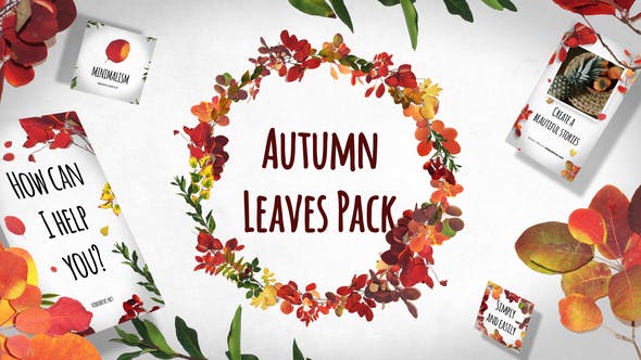 Autumn Leaves Pack image Preview