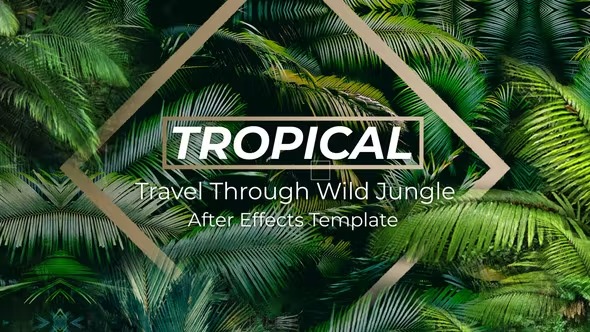 Jungle Tropical Slideshow